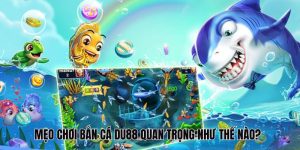 Tổng quan về mẹo chơi bắn cá Du88
